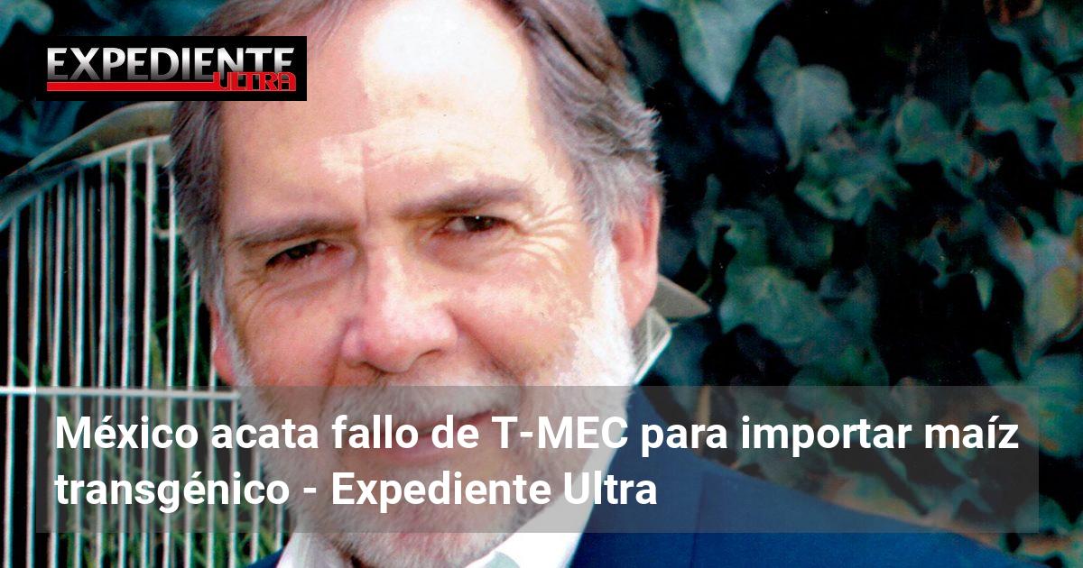 México acata fallo de T-MEC para importar maíz transgénico | Expediente ...