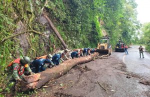 Liberan carretera en Tlanchinol, tras deslave
