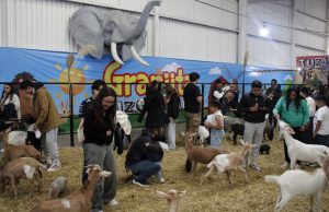 ¿Qué hacer en familia este sábado en la Feria de San Francisco Pachuca Hidalgo 2024?