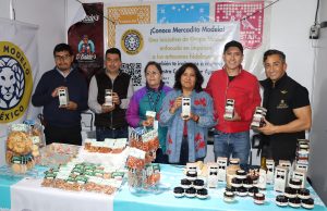 Sebiso busca actualizar Directorio Digital de Personas Artesanas