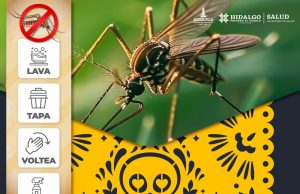 “Altares limpios, hogares seguros: No al Dengue en Día de Muertos”