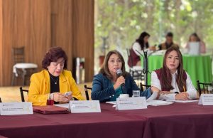 Consejo directivo de los niveles de educación básica