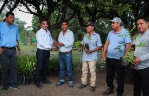 El presidente Municipal de Huejutla lanza campaña de reforestación con donación de árboles para promover la sostenibilidad