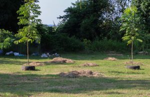 «Gobierno Municipal de Huejutla realiza jornada de limpieza para preservar espacios verdes»