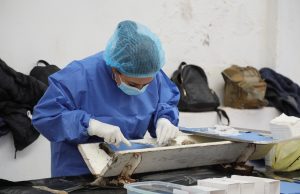 Jornada de esterilización gratuita para mascotas, organizada por la Presidencia Municipal en colaboración con la SSH