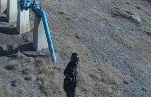 Policía hídrica, detiene en flagrancia a masculino por robo en pozo de agua