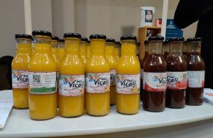 Registro de marca permitió fortalecimiento de las mipymes y la economía local en Hidalgo