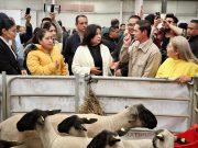 “Un Hidalgo más fuerte y mejor alimentado sí es posible”: Edda Vite