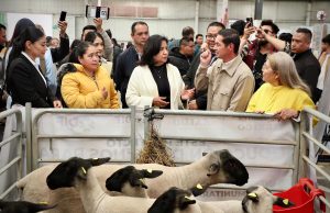 “Un Hidalgo más fuerte y mejor alimentado sí es posible”: Edda Vite