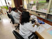 Laboratorio Estatal de salud, fundamental para el combate contra las enfermedades