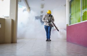 Fumigación masiva en la Presidencia Municipal de Huejutla para prevenir el dengue