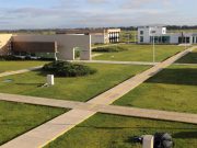 UPT abre nueva licenciatura en Psicología