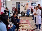 Brigadas de Salud llevaron atención médica gratuita a más de mil personas en Zempoala