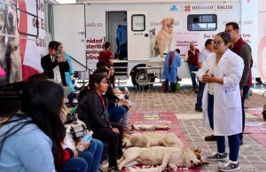 Brigadas de Salud llevaron atención médica gratuita a más de mil personas en Zempoala