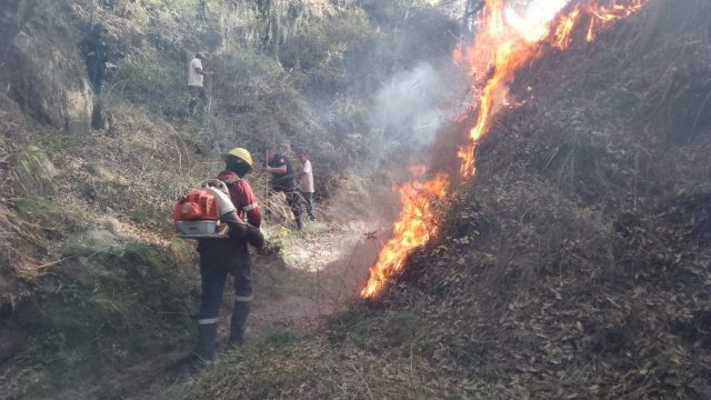 incendios forestales (2)