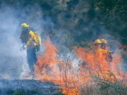 ES URGENTE FORTALECER LA PROTECCIÓN CIVIL EN LOS MUNICIPIOS HIDALGUENSES