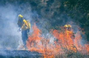 ES URGENTE FORTALECER LA PROTECCIÓN CIVIL EN LOS MUNICIPIOS HIDALGUENSES