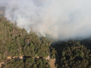 Recuento de acciones frente al incendio de Tlahuiltepa