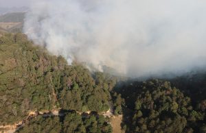 Recuento de acciones frente al incendio de Tlahuiltepa