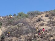 Trabaja Semarnath en Operativo de Semana Santa 2025