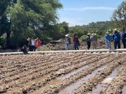 Instalan parcelas modelo para modernizar el riego en Hidalgo