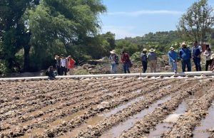 Instalan parcelas modelo para modernizar el riego en Hidalgo