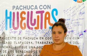 Más de 2,000 esterilizaciones y 2,500 vacunas antirrábicas en el programa “Pachuca con Huellitas”