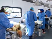 Brigadas de la Salud: Atención médica gratuita e integral para las familias hidalguenses