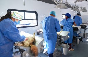 Brigadas de la Salud: Atención médica gratuita e integral para las familias hidalguenses