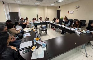 Comisarios públicos factor de legalidad