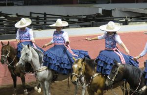 Espectáculos imperdibles llegan a los recintos de la OEEH este abril