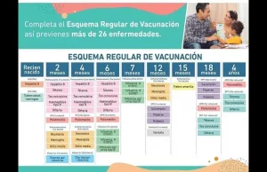 EL IMPACTO DE NO VACUNAR
