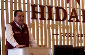 Avance en Declaraciones Patrimoniales