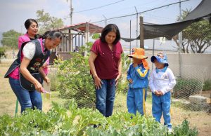 Edda Vite fortalece el desarrollo comunitario en Chapantongo
