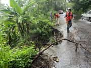 Atiende Gobierno de Huejutla afectaciones por lluvias tras paso del huracán «Erick»