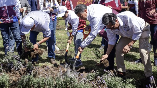 Planta de tratamiento (2)