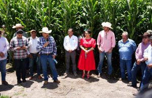 Constatan avances históricos en tecnificación de riego en el Valle del Mezquital