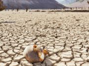 APOCALIPSIS CLIMÁTICO