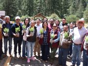 Inicia la restauración del Parque Nacional El Chico, tras plaga forestal