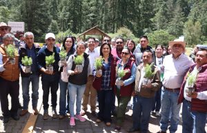 Inicia la restauración del Parque Nacional El Chico, tras plaga forestal