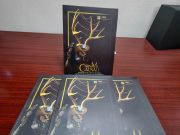 Preservan memoria ancestral del carnaval de Calnali