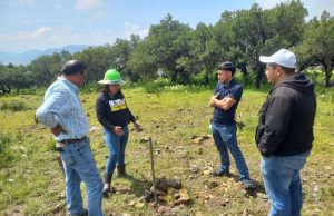Reporta Semarnath 99% de supervivencia en reforestación del ANP Cerros La Paila – El Xihuingo
