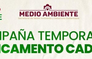 Convocan a población a participar en campaña de medicamento caduco en Pachuca