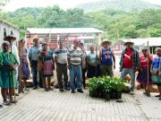 Entregan 500 plantas para reforestar tramo Huejutla – Tehuetlán