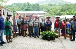 Entregan 500 plantas para reforestar tramo Huejutla – Tehuetlán