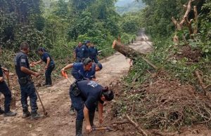 Reabren 255 caminos y 25 carreteras federales