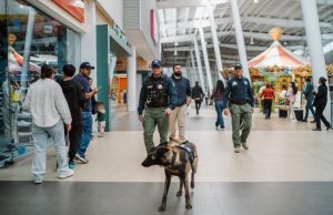 Binomios K9 y Policía Municipal fortalecen la seguridad en plazas comerciales de Pachuca