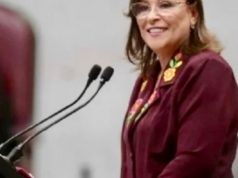 ROCÍO NAHLE Y LA FGE