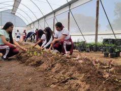 “Guardianes del Bätho-i”: estudiantes del CECyTEH Huichapan destacan a nivel nacional