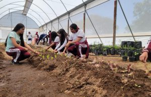 “Guardianes del Bätho-i”: estudiantes del CECyTEH Huichapan destacan a nivel nacional
